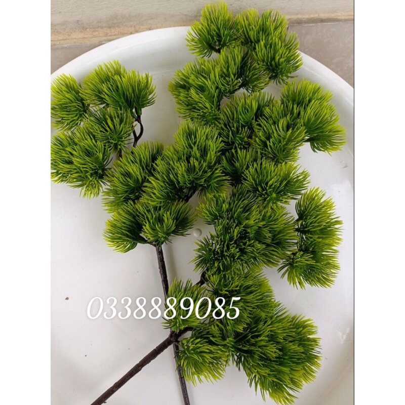 (ẢNH THẬT) Cành tùng, cành thông giả làm cây - trang trí tiểu cảnh - cây hoa giả, hàng sẵn kho