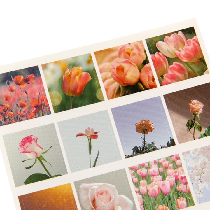 Set 2 Tấm Sticker ARTBOX Hàn Quốc Hình Vẽ Hoa Màu Hồng