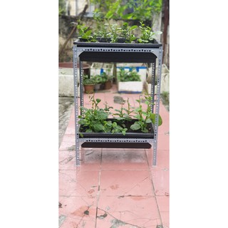 Kệ sắt trồng rau thông minh 2 tầng dùng cho 2 khay trồng rau kích cỡ 68x43x15 cm