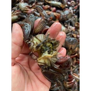 MẮM BA KHÍA TỎI ỚT 1kg