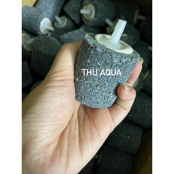 Quả Sủi Oxy size To