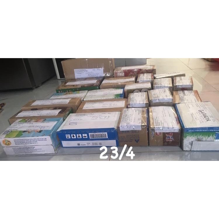 Trứng dế mèn Thái vàng