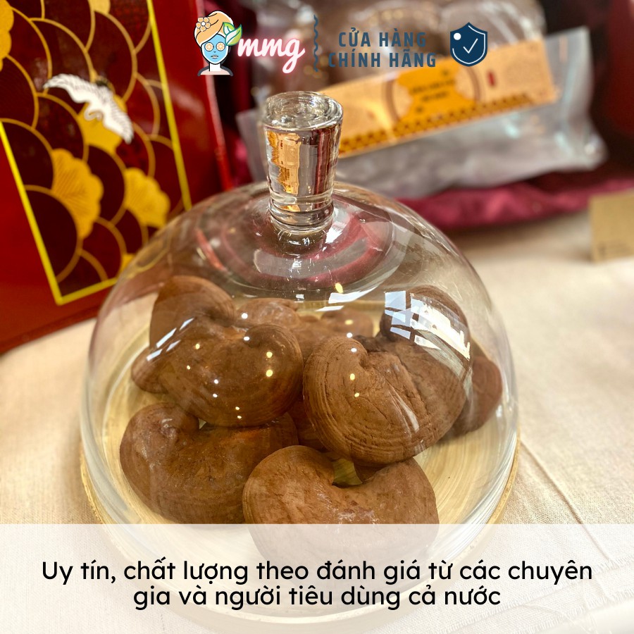 (500gr) Nấm Linh Chi đỏ MMG Còn bào tử thượng hạng dạng túi | BigBuy360 - bigbuy360.vn