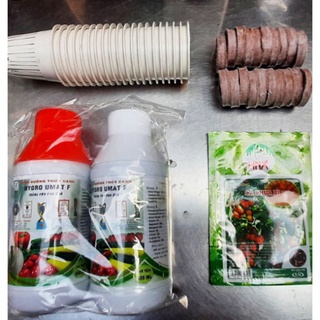 Combo trồng thủy canh tĩnh đầy đủ cho người mới bắt đầu
