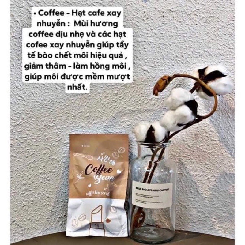 BST son dưỡng - Tẩy tế bào chết môi | BigBuy360 - bigbuy360.vn