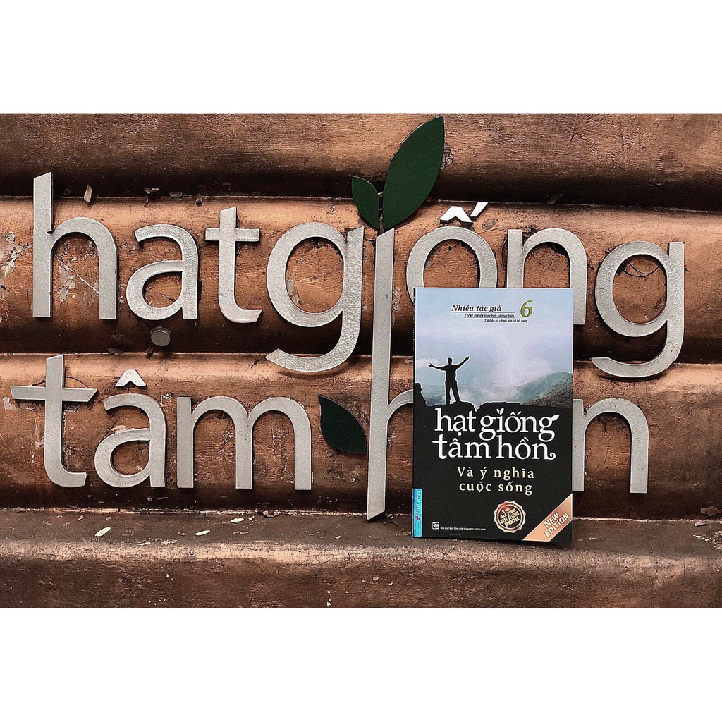 Sách Hạt Giống Tâm Hồn 6 First News