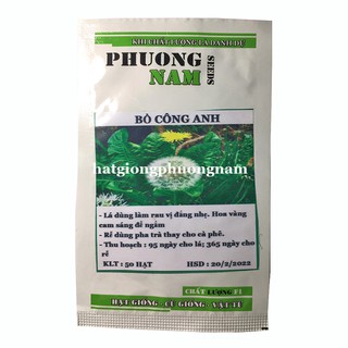 Hạt giống Bồ công anh