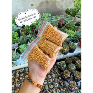 Phân tan chậm dành cho sen đá - xương rồng