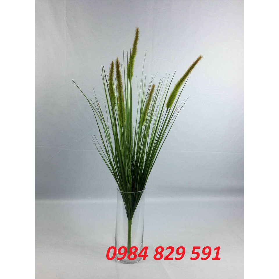 Cành lau giả trang trí 3 bông