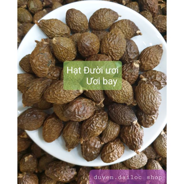 HẠT ĐƯỜI ƯƠI- ƯƠI BAY#TL 1 gói 200gr# HSD 36 tháng