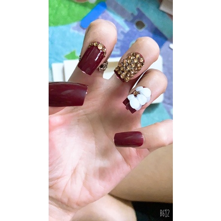 Nailbox thiết kế,bộ móng tay giả,móng úp tay kèm keo