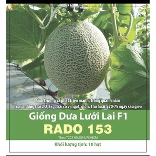 Hạt giống dưa lưới Rạng Đông