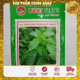 Hạt Giống Rau Thơm Xả (É Trắng) Ngon -0,5gr