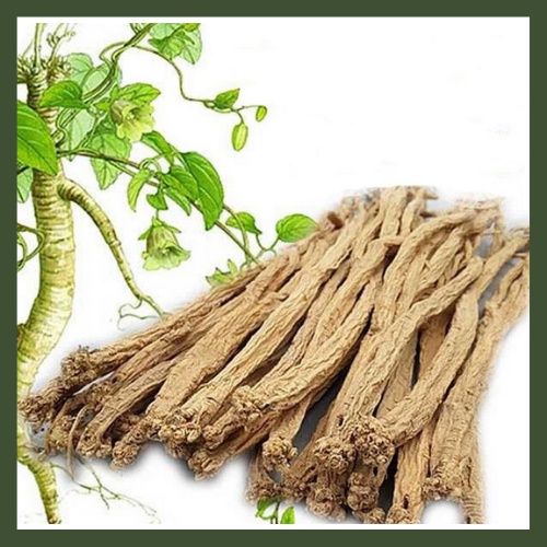 Đẳng Sâm khô 500gr - 1KG