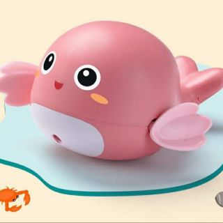 Cá vặn dây cót bơi lội
