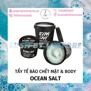 LUSH - Tẩy tế bào chết Ocean Salt Face And Body Scrub 120g (Self_Preserving)