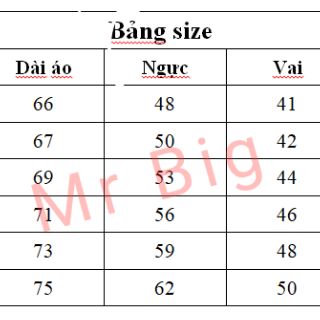 Áo Phông ĐIỂM SÁNG - TIÊU CHIẾN