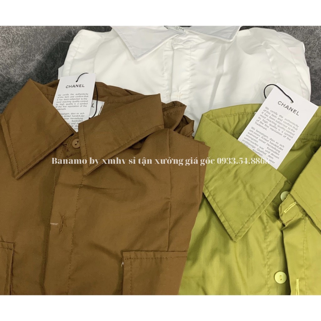 Áo sơ mi nữ cộc tay bèo cánh tiên hàng thiết kế thời trang Banamo Fashion sơ mi cộc tay bèo cánh tiên 3931