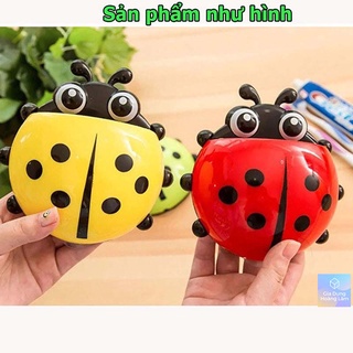 Bọ rùa đựng bàn chải và kem đánh răng [KHAY BỌ RÙA]