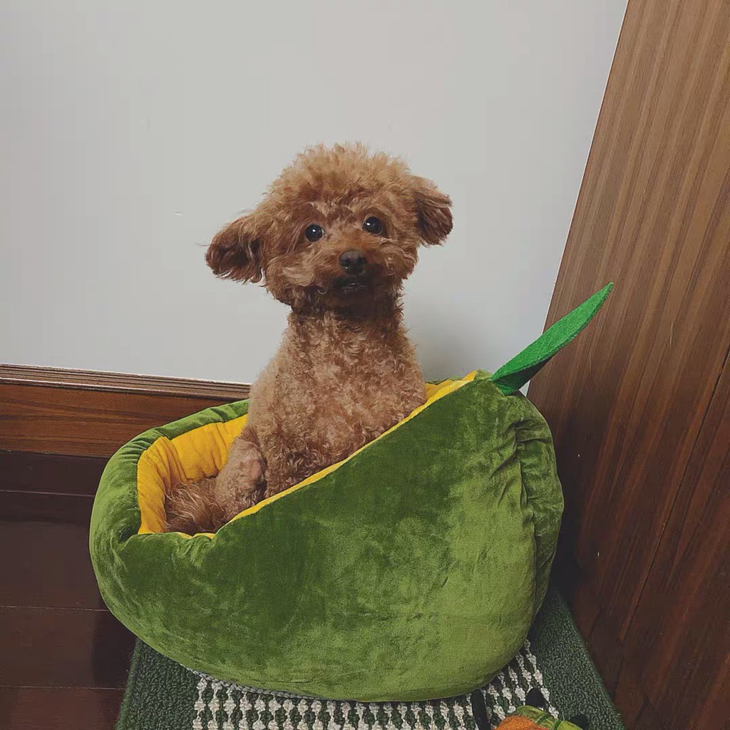 Tổ Thú Cưng Hình Quả Bơ - Pidan [CHÍNH HÃNG]