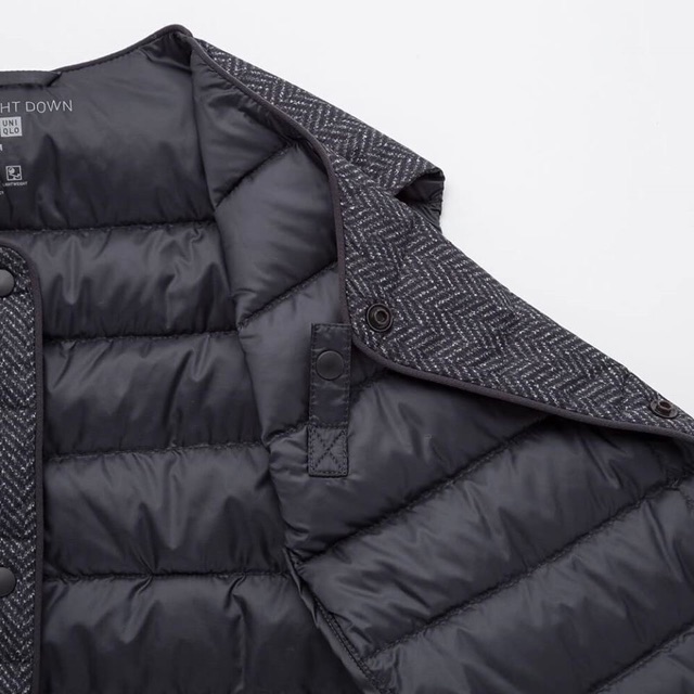 Gile lông vũ nữ | BigBuy360 - bigbuy360.vn