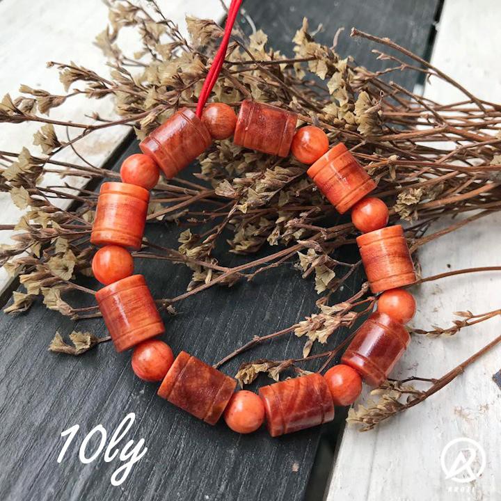 Vòng phong thủy - Vòng phong thủy huyết long đốt trúc 10 ly -SP 1