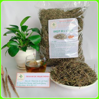 DIỆP HẠ CHÂU 1KG LOẠI ĐẸP THƠM - LOẠI CHUẨN