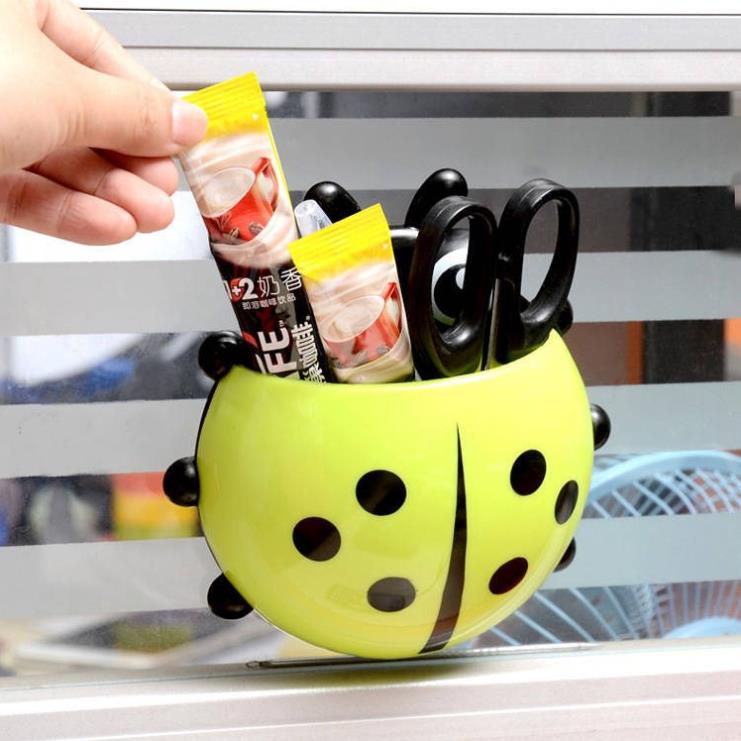Giá Treo Bàn Chải Đánh Răng & Giá Để Bàn Chải Đánh Răng Gắn Tường Hình Bọ Rùa Hoạt Hình Dễ Thương