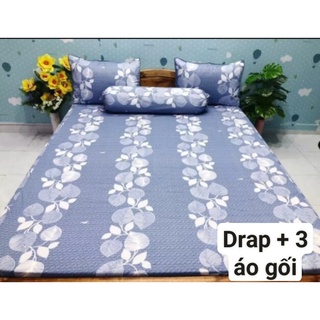 Bộ Drap Cotton T_ Lợi 4 món 100% drap giường chính hãng IN LOGO
