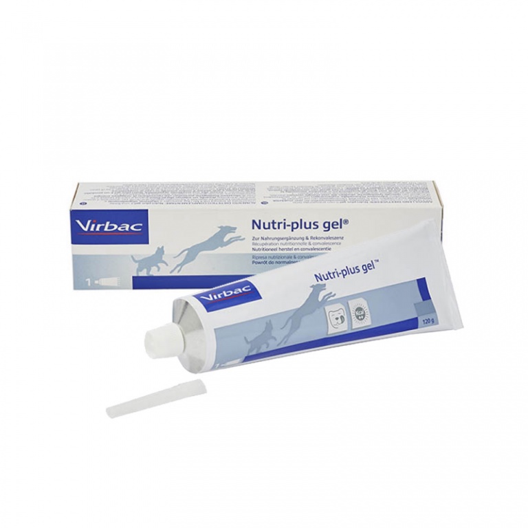 Gel dinh dưỡng cao năng lượng - dễ dàng sử dụng dành cho thú cưng