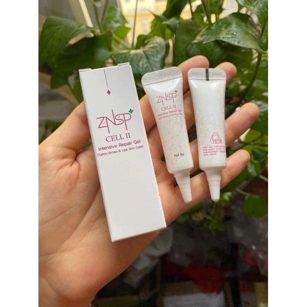 Tế Bào Gốc ZNSP Hàn Quốc Cho Môi Phun Xăm Lăn Kim