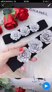 Đai xịn sò