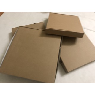 Hộp carton 25x25x4, số lượng: 95 cái