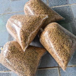 Trấu tươi (gói 2 lít)
