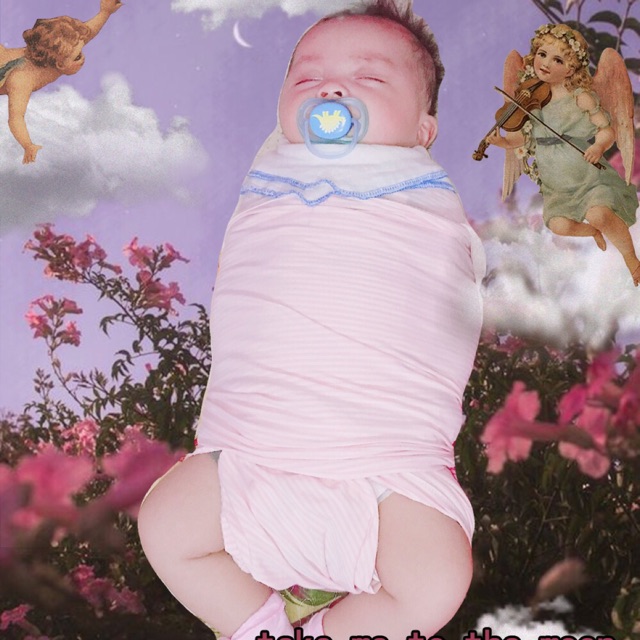 Chũn cocoon