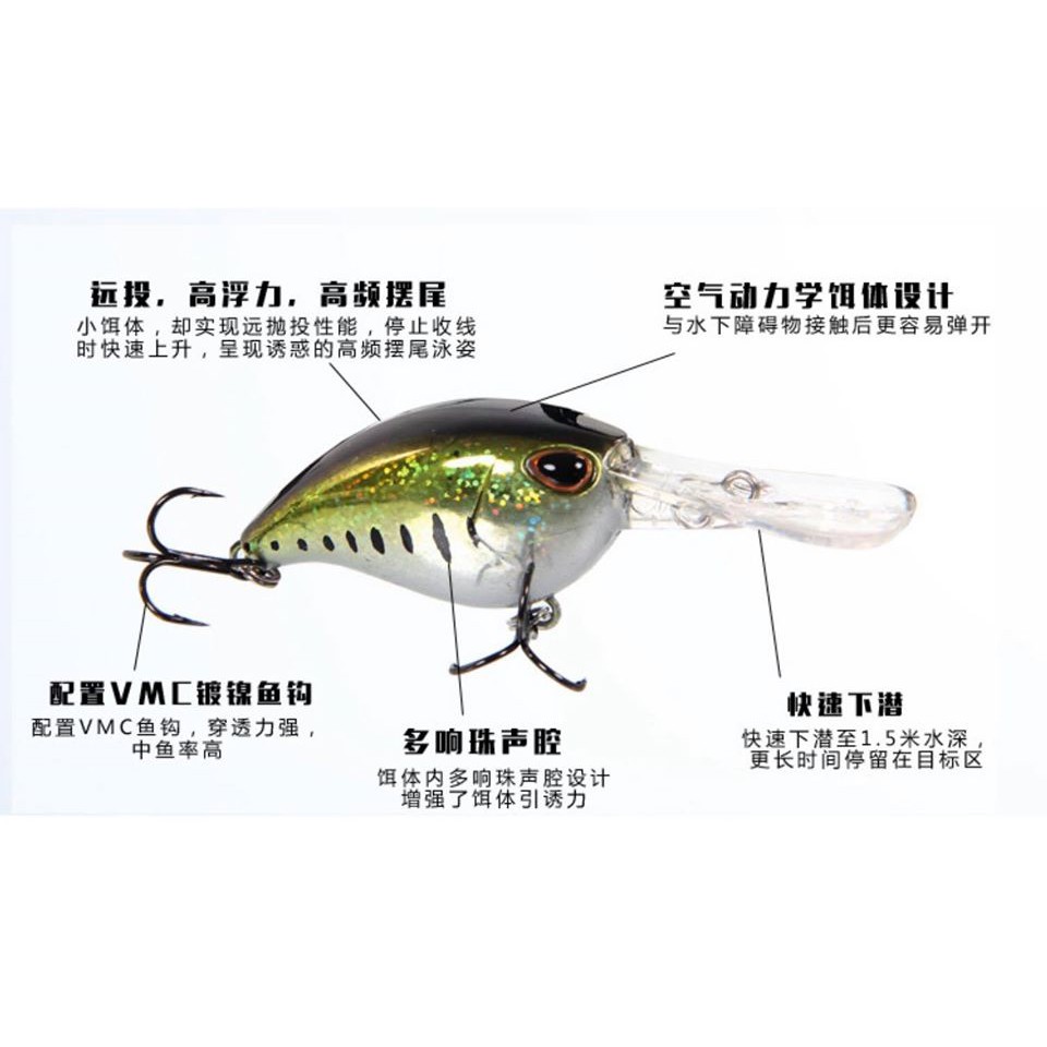 Cá giả Crank câu Lure