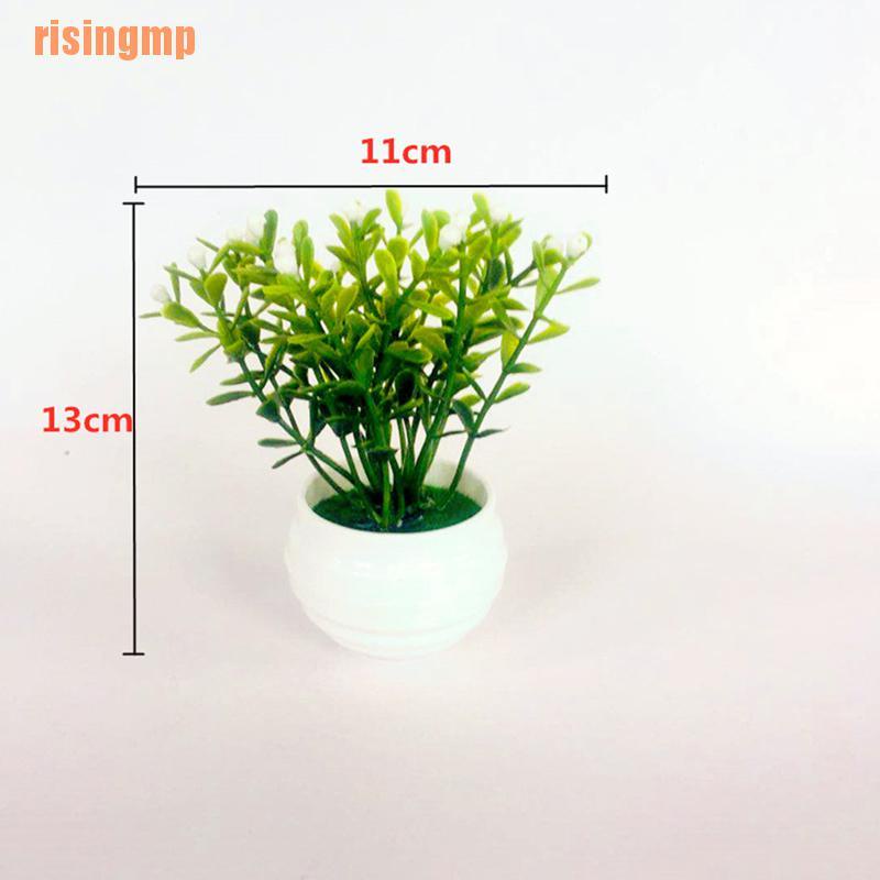 Chậu Cây Mini Trang Trí Nhà Cửa