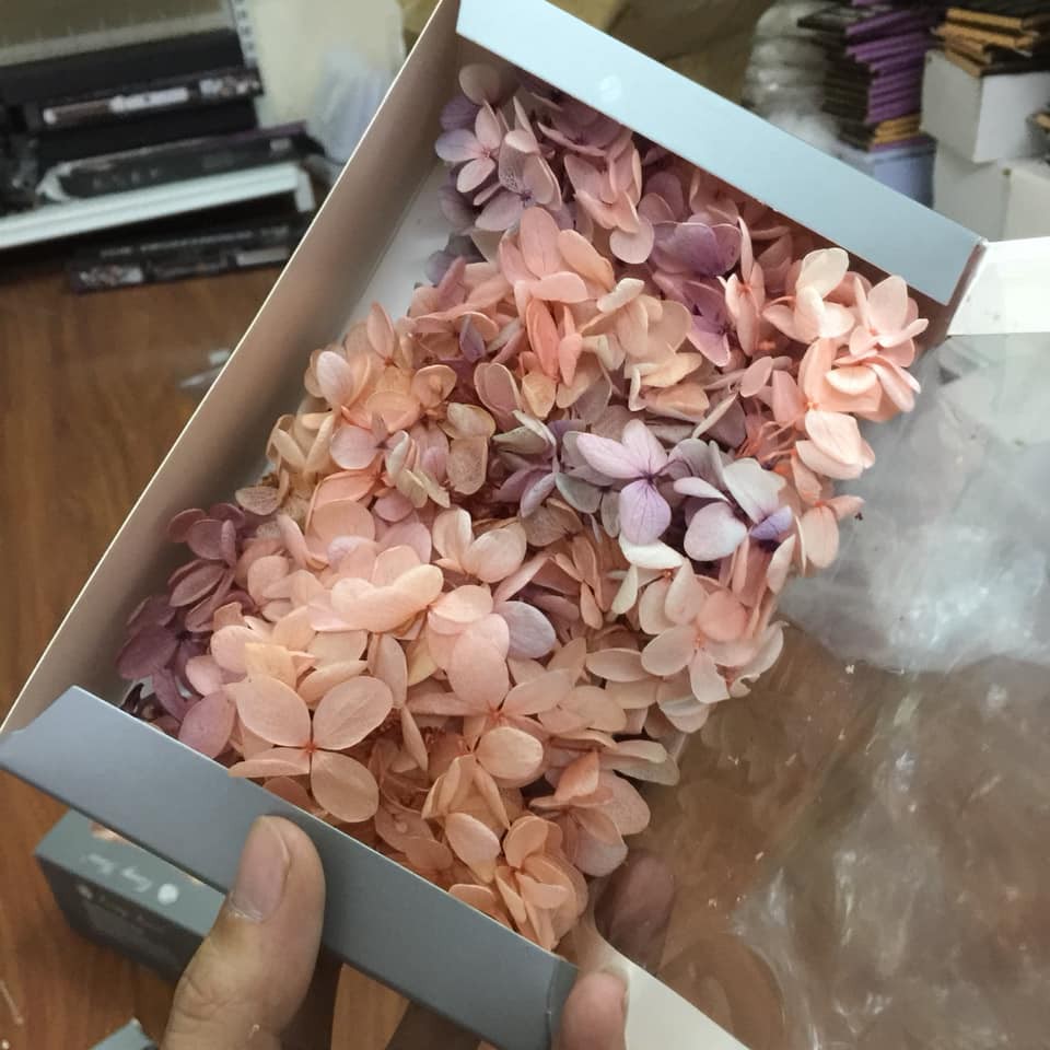 Hộp hoa khô siêu lớn