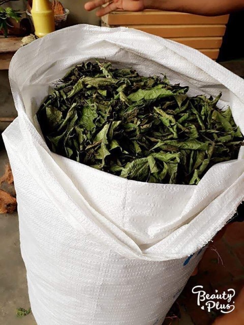 Lá xạ đen chính hiệu Hoà Bình túi khô 1kg tịnh