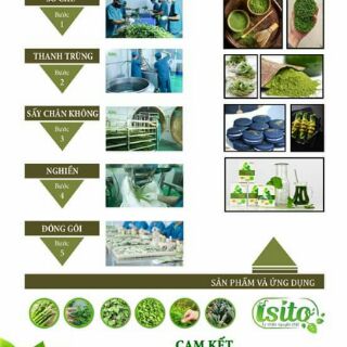 Bột sinh tố rau cần tây isito