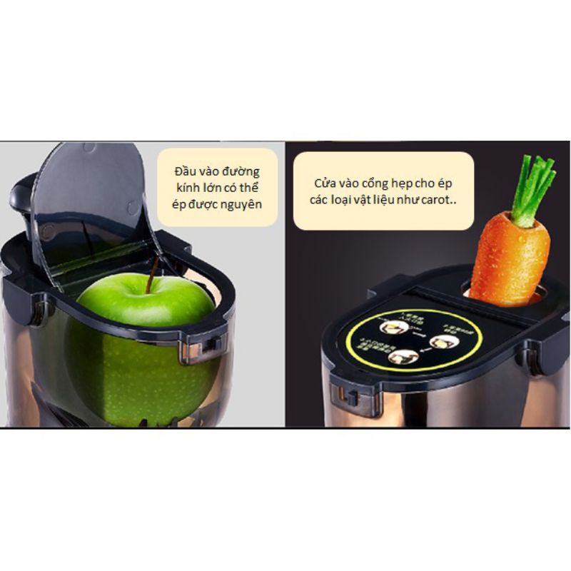 Máy Ép Chậm Ranbem 615