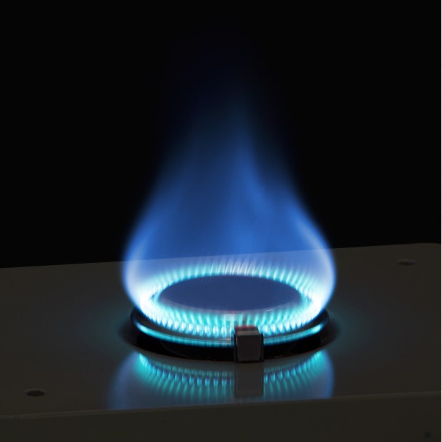 Bếp ga mini dã ngoại vintage glamping, bếp ga du lịch cắm trại Naturehike CNH22CJ011