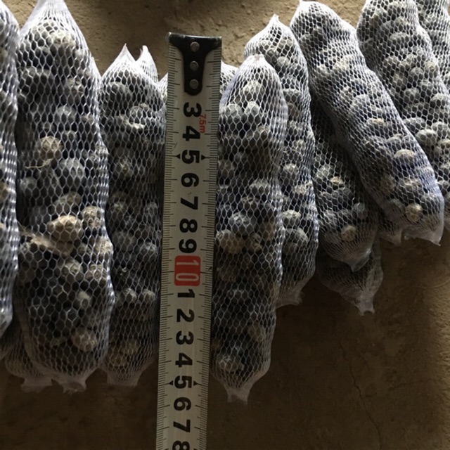 Phân dê đóng túi lưới 15cm