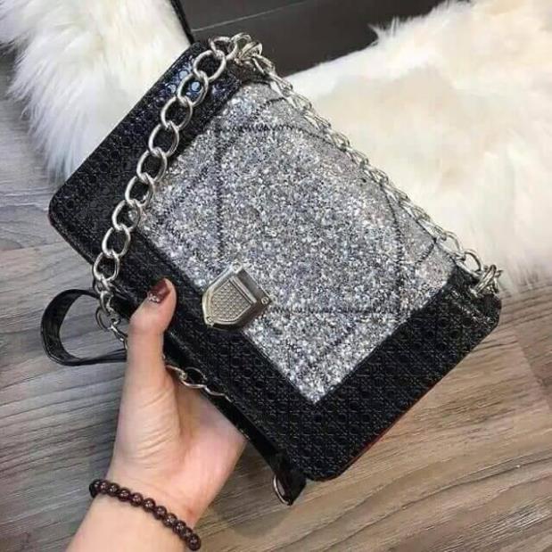 Túi Hộp nhũ kim sa size 22cm DC116 SHOP