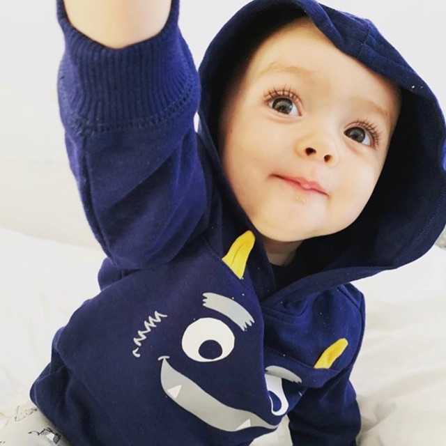 Áo hoodie carter xuất xịn