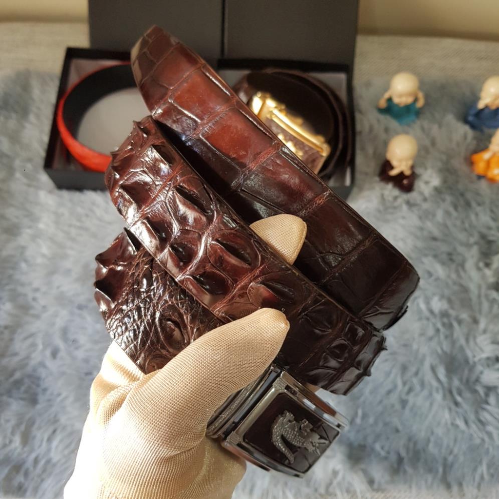 Thắt Lưng Da Cá Sấu, Dây Lưng Da Cá Sấu Gù Liền Nguyên Con Bản 3,5 cmI Màu Sắc Nâu Cafe I Bảo Hành 24 Tháng
