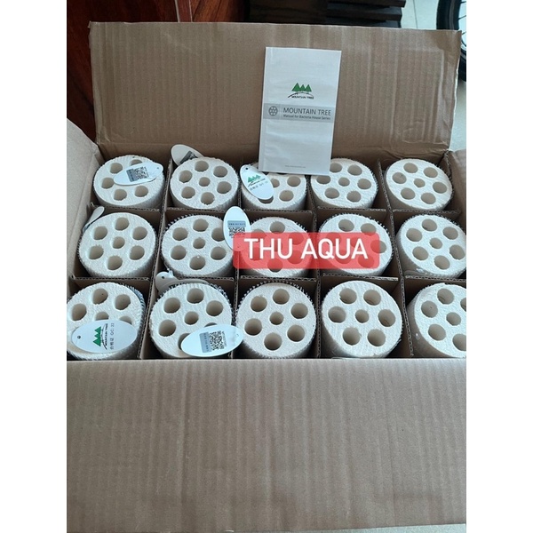 Sứ Mountain Tree thế hệ thứ 2 XL KT 25x8cm