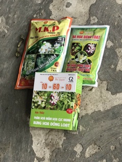 Phân bón 10 60 10 (1kg) của quả cầu lửa