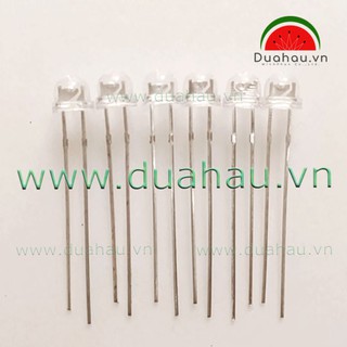 100 bóng led trong Hồng 5mm