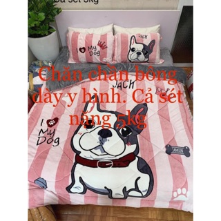 Bộ Drap & Chăn Chần Bông Nỉ Nhung 3D Siêu Ấm